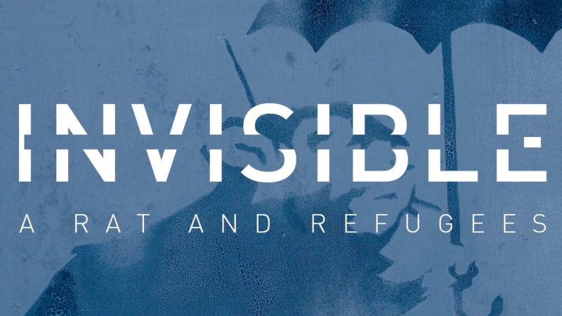 INVISIBLE